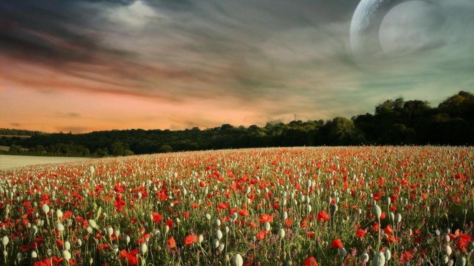 张伟丽可以打败什么级别的普通男性？